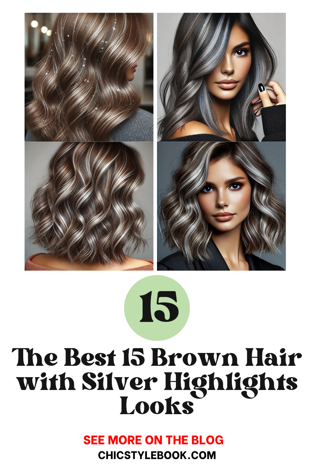 15 Chic Brown Hair with Silver Highlights Ideas